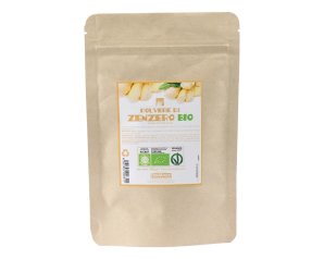 ZENZERO POLVERE BIO 100G