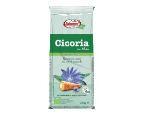 CICORIA TOSTATA MACINATA BIO