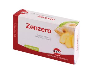 ZENZERO ESTR SECCO 60CPR KOS