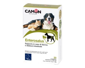 ENTEROSALUS 30CPR 1G