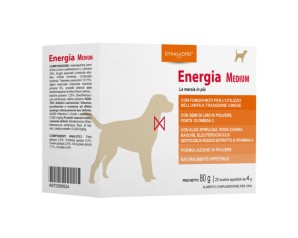 ENERGIA 20BUST 4G