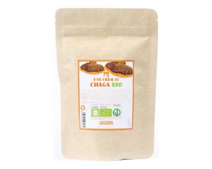CHAGA POLVERE BIO 60G