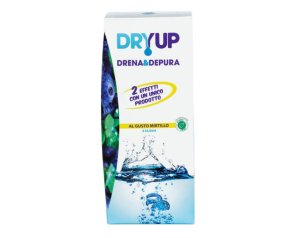 DRYUP MIRTILLO 300ML