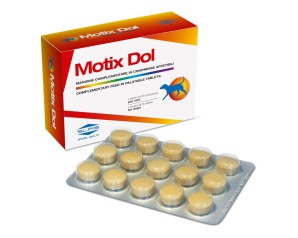 Slais Motix Dol 60 Compresse 48 G