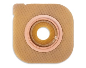 HOLLI Conf.2 Pl.Pia Cerapl.45