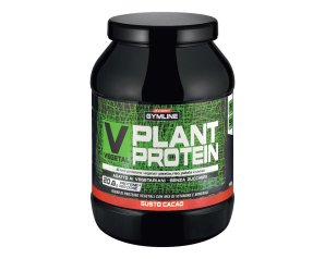 Enervit Gymline V plant protein cacao 900 g integratore di proteine vegetali