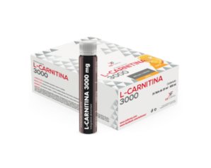 L CARNITINA 3000MG 24FL 25ML