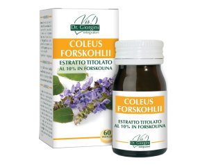 COLEUS FOR ESTR TIT 60PAST