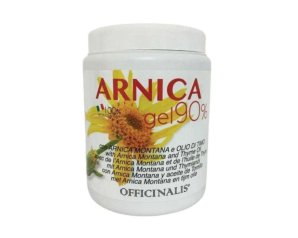 ARNICAGEL 90% CAVALLI 1Kg