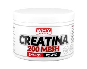 WHYSPORT CREATINA 200 MESH 200