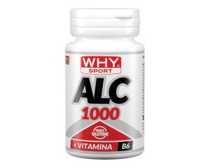 WHYSPORT ALC 1000 30CPR