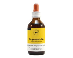AMPELOPSIS MG 100ML CENTO F