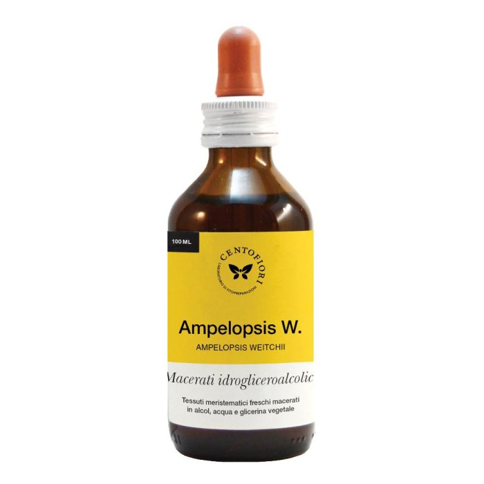AMPELOPSIS MG 100ML CENTO F AMPELOPSIS MG 100ML CENTO F