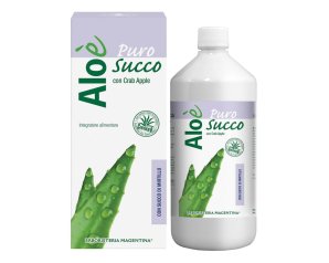 ALOE' ALOE VERA BIO+MIRTILLO1L