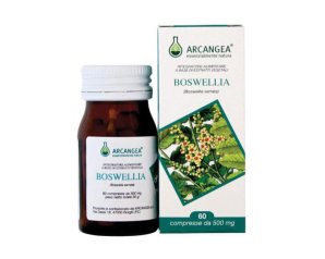 Boswellia 60 Capsule Integratore Alimentare Naturale per Benessere Articolare e Supporto Antinfiammatorio