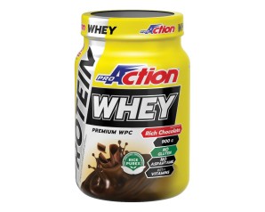 PROACTION WHEY RICH CHOCOLATE