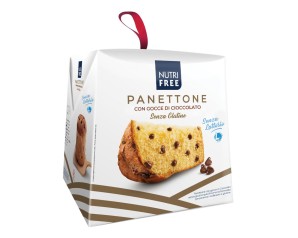 Nutrifree Alimenti senza Glutine Selezione Dolci & Specialità Panettoncino con Gocce di Cioccolato 100 g