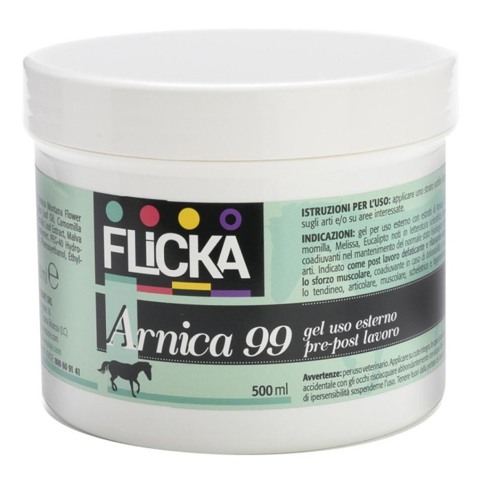 Bioequipe Arnica 99 Gel 500 Ml