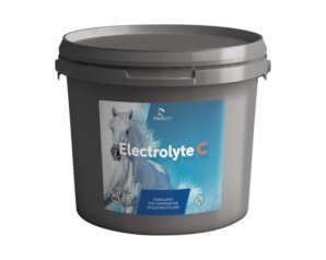 ELECTROLYTE C POLVERE 3KG