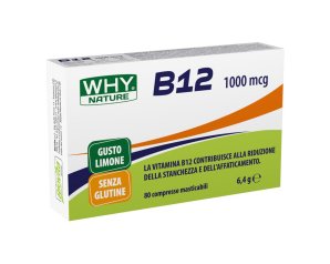 WHYNATURE B12 1000MCG 80CPR