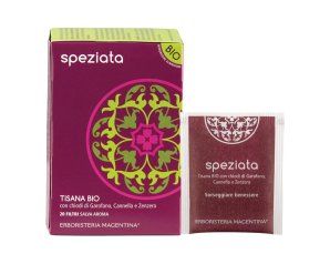 TISANA SPEZIATA BIO 20FILT