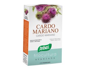 CARDO MARIANO 40CPS