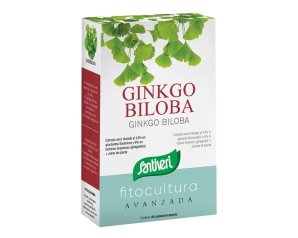 GINKGO BILOBA 40CPS