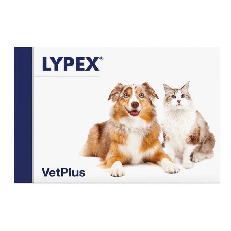 Lypex - Mangime Complementare per Cani e Gatti con Enzimi Digestivi 60 capsule Lypex - Mangime Complementare per Cani e Gatti con Enzimi Digestivi 60 capsule