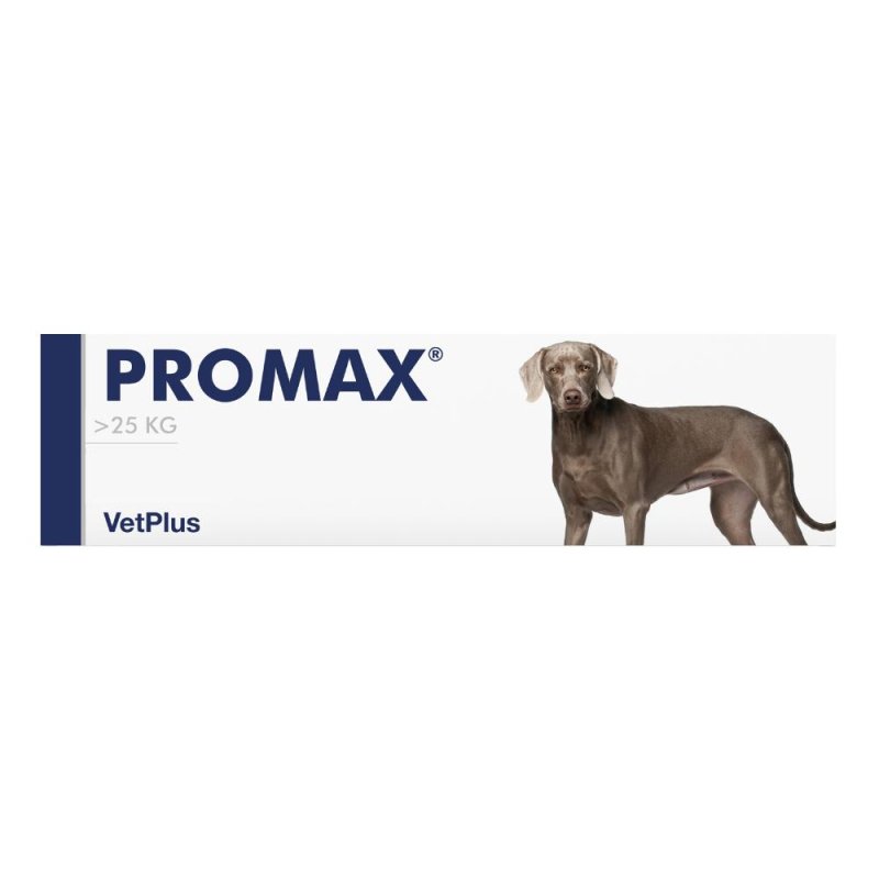 Promax Breed Large per Cani Taglia Grande Integratore Intestinale Pasta Palatabile 30 Millilitri Promax Breed Large per Cani Taglia Grande Integratore Intestinale Pasta Palatabile 30 Millilitri