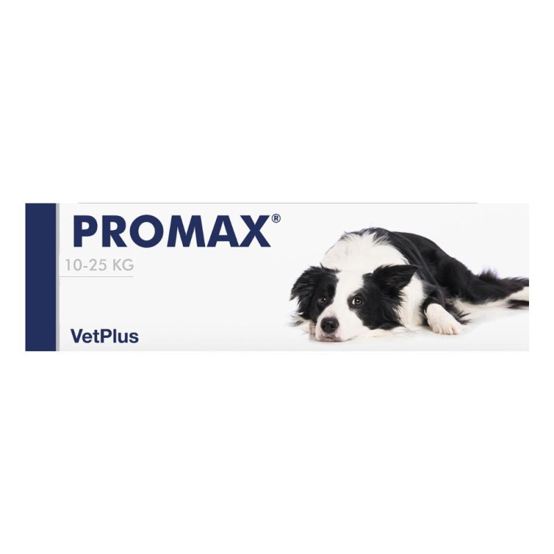 Promax Breed Medium 18 Millilitri Pasta Intestinale per Cani di Taglia Media &ndash; Integratore per Equilibrio della Flora Intestinale