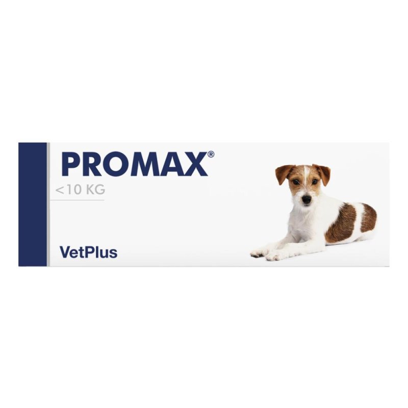 Promax Small Breed 9 ml Pasta Intestinale per Cani di Piccola Taglia – Integratore per Diarrea e Benessere Intestinale Promax Small Breed 9 ml Pasta Intestinale per Cani di Piccola Taglia – Integratore per Diarrea e Benessere Intestinale
