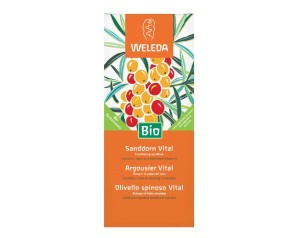OLIVELLO SPINOSO VITAL SCIR