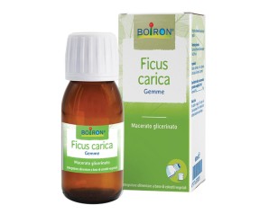 Boiron Ficus Carica Gemme Macerato Glicerinato 60 ml