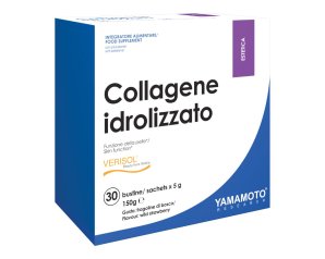 YAMAMOTO R COLLAGENE IDR30BUST
