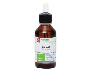 GINKGO BILOBA MG BIO 100ML