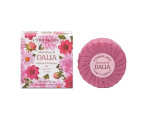 SFUMATURE D SAPONE PROF 100G