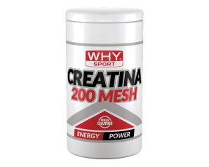 WHYSPORT CREATINA 200 MESH500G