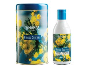 LAMANDE MIM S BOITE BAGNODOCC