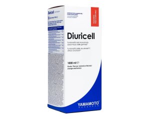 YAMAMOTO R DIURICELL 1L FRUTTI