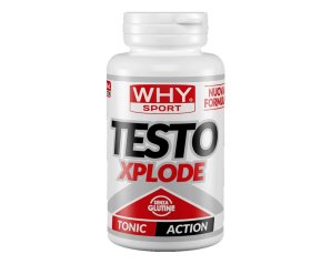 WHYSPORT TESTO XPLODE 90CPR NF