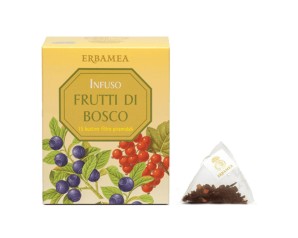 INFUSO FRUTTI DI BOSCO 45G