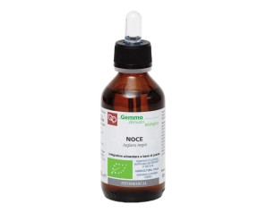 NOCE BIO MG 100ML FTM