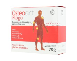 OSTEOART Flogo 14 Bust.