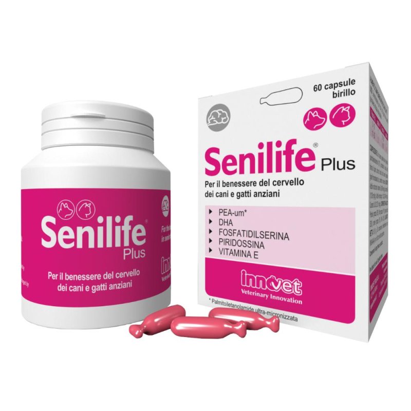Senilife Plus 60 Capsule Integratore per Cani Anziani Supporto Cerebrale e Funzione Cognitiva Senilife Plus 60 Capsule Integratore per Cani Anziani Supporto Cerebrale e Funzione Cognitiva