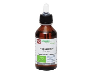FICO GEMME BIO MG 100ML