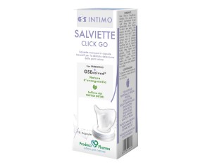 GSE INTIMO SALVIETTE CLICK GO