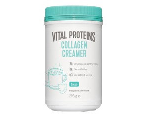 VP COLLAGENE Creamer Coconut