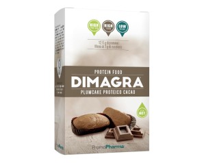 DIMAGRA PLUMCAKE CIOCCOLATO