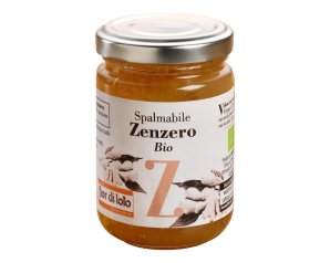 ZENZERO SPALMABILE 750G