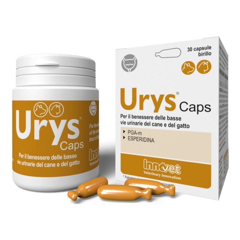 Urys Caps Integratore per Benessere Vie Urinarie e Prevenzione Cistite 30 Capsule